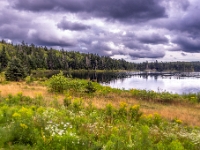 Fundy National Park Of Canada